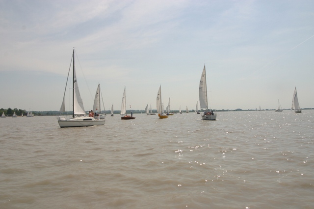 IMG_7174.JPG