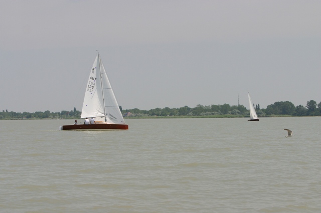 IMG_7278.JPG