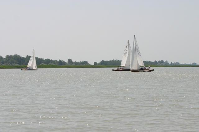 IMG_7282.JPG