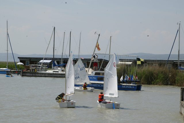 roman_opti_regatta_159.jpg