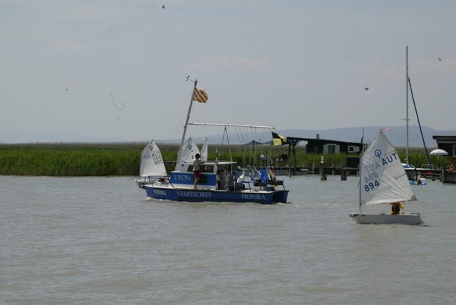 roman_opti_regatta_160.jpg
