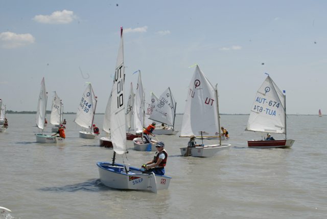 roman_opti_regatta_162.jpg
