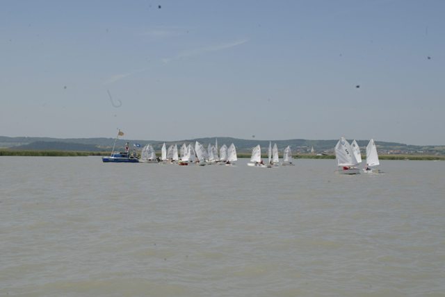 roman_opti_regatta_165.jpg