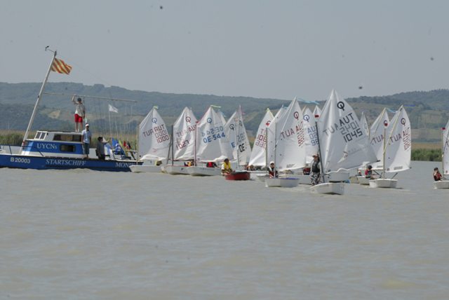 roman_opti_regatta_167.jpg
