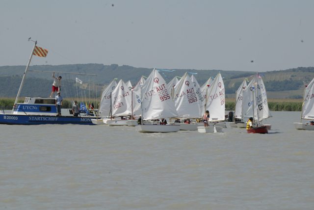 roman_opti_regatta_168.jpg