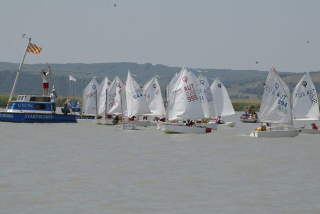 roman_opti_regatta_169.jpg