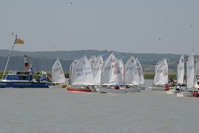 roman_opti_regatta_171.jpg