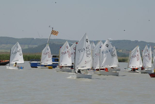 roman_opti_regatta_173.jpg