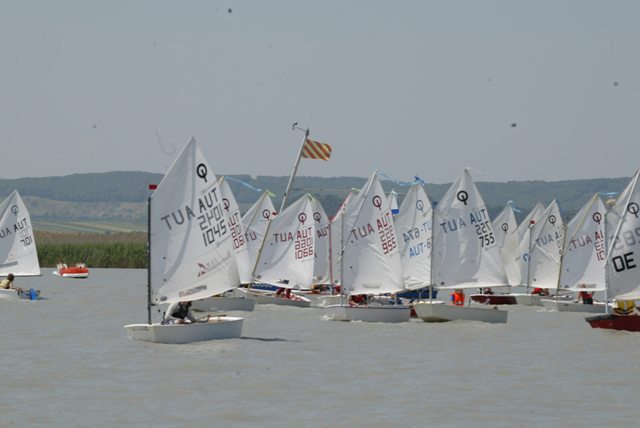 roman_opti_regatta_174.jpg