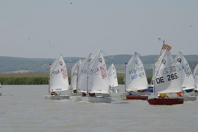 roman_opti_regatta_176.jpg