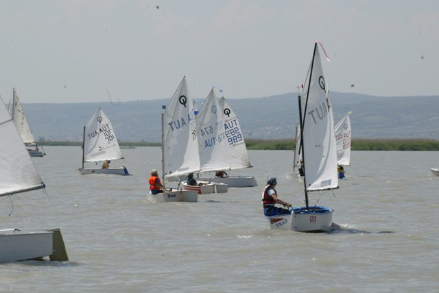 roman_opti_regatta_179.jpg