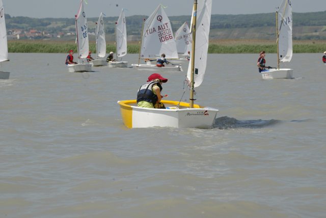 roman_opti_regatta_189.jpg