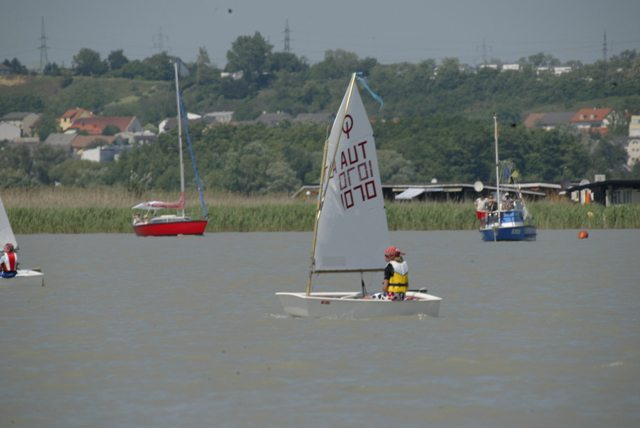roman_opti_regatta_231.jpg