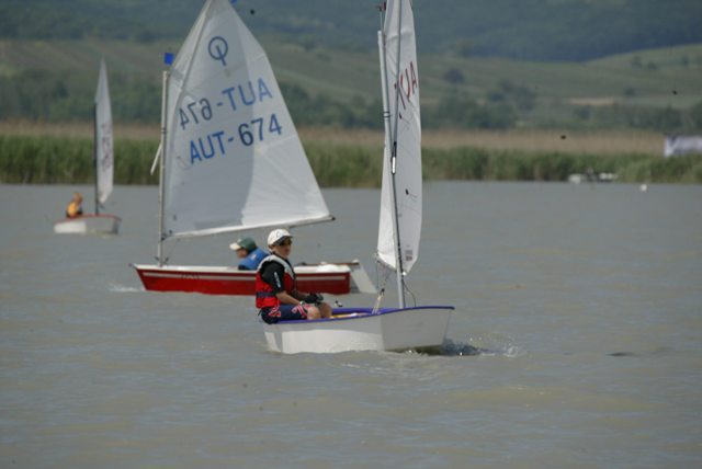 roman_opti_regatta_233.jpg