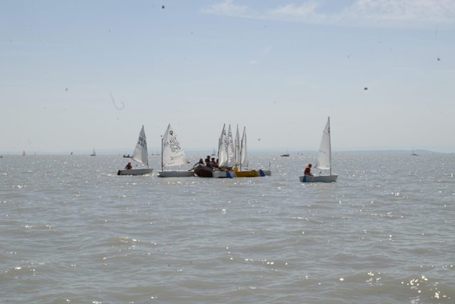 roman_opti_regatta_241.jpg