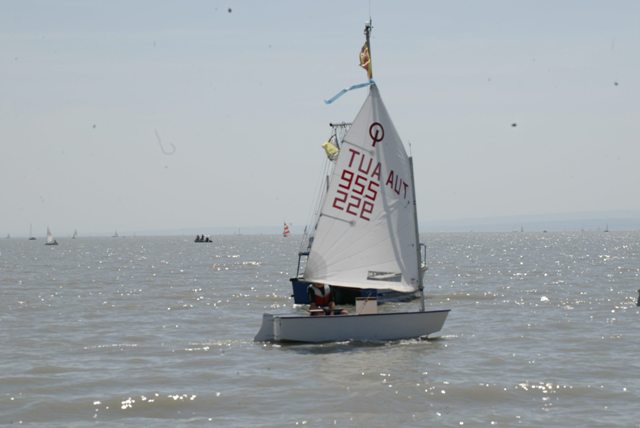 roman_opti_regatta_245.jpg
