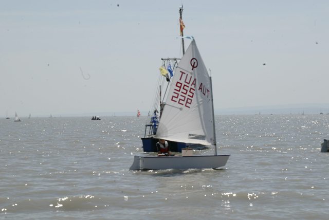 roman_opti_regatta_246.jpg