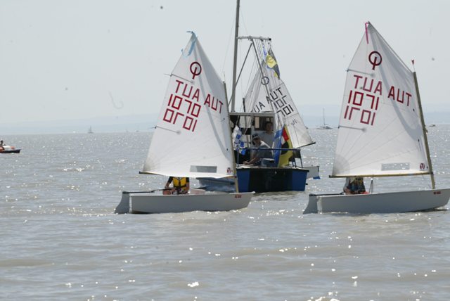 roman_opti_regatta_250.jpg