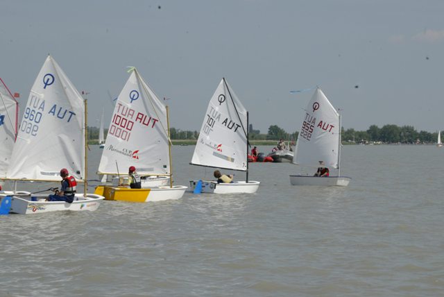 roman_opti_regatta_255.jpg