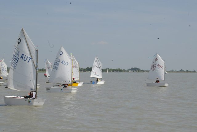 roman_opti_regatta_256.jpg
