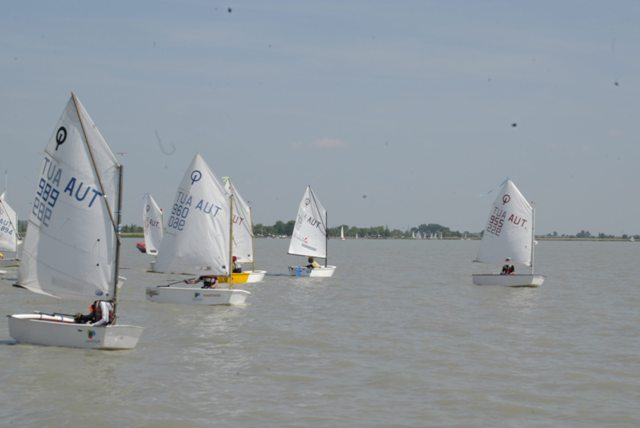 roman_opti_regatta_257.jpg