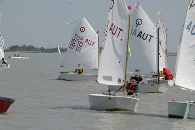roman_opti_regatta_260.jpg