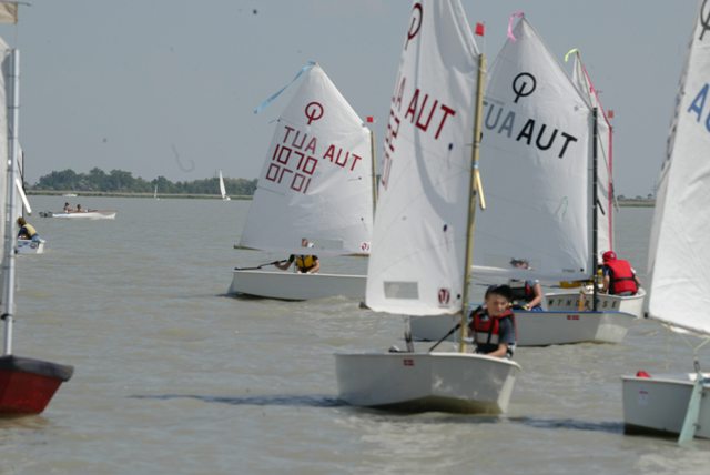roman_opti_regatta_261.jpg