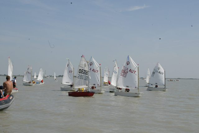 roman_opti_regatta_263.jpg