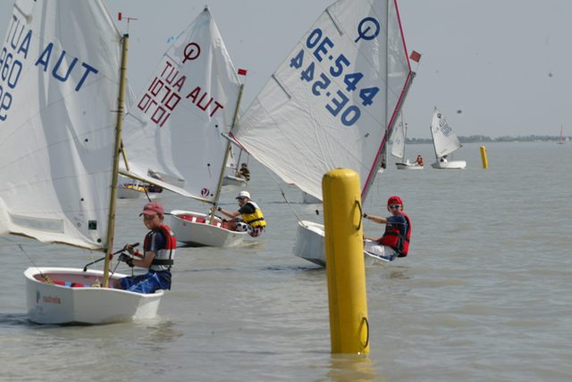 roman_opti_regatta_267.jpg