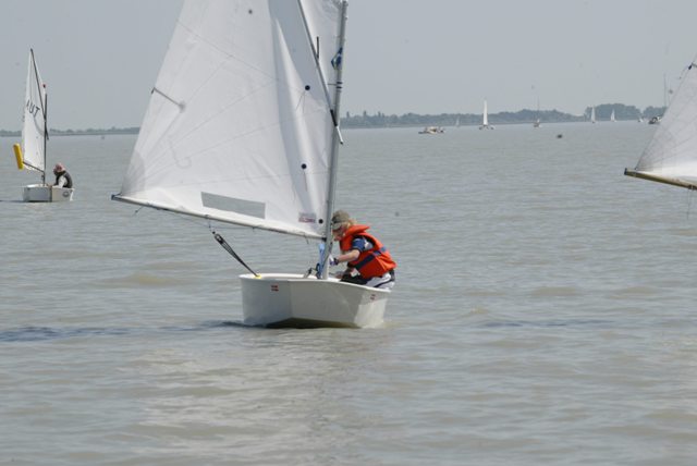 roman_opti_regatta_270.jpg