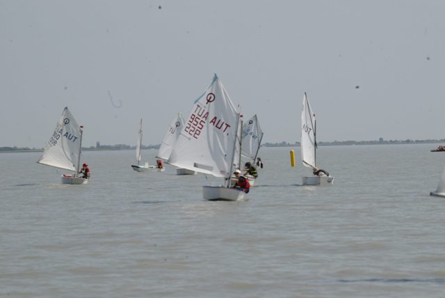 roman_opti_regatta_271.jpg