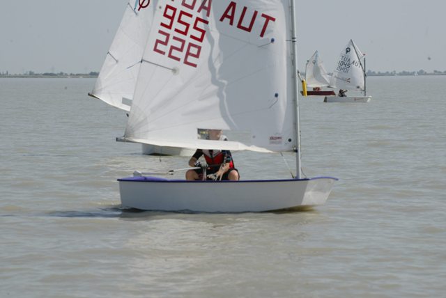 roman_opti_regatta_274.jpg