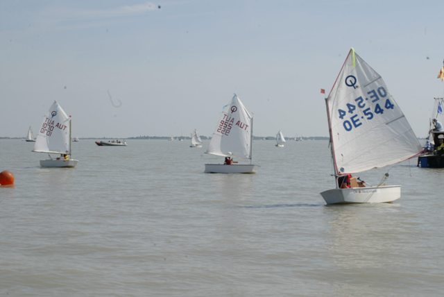 roman_opti_regatta_277.jpg