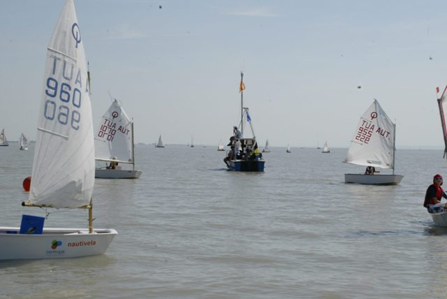 roman_opti_regatta_279.jpg