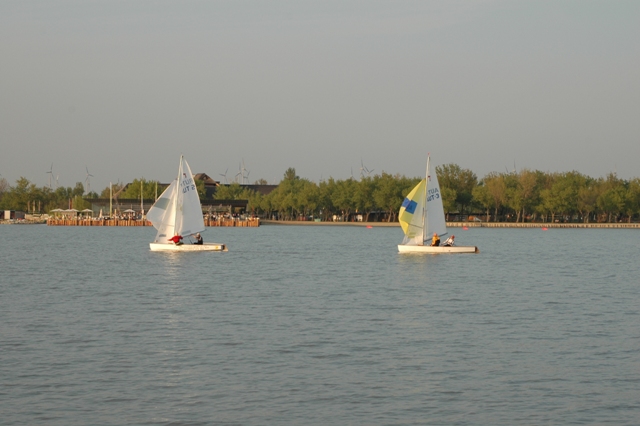 DSC_0377.JPG