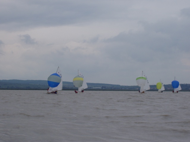 P9170081.JPG