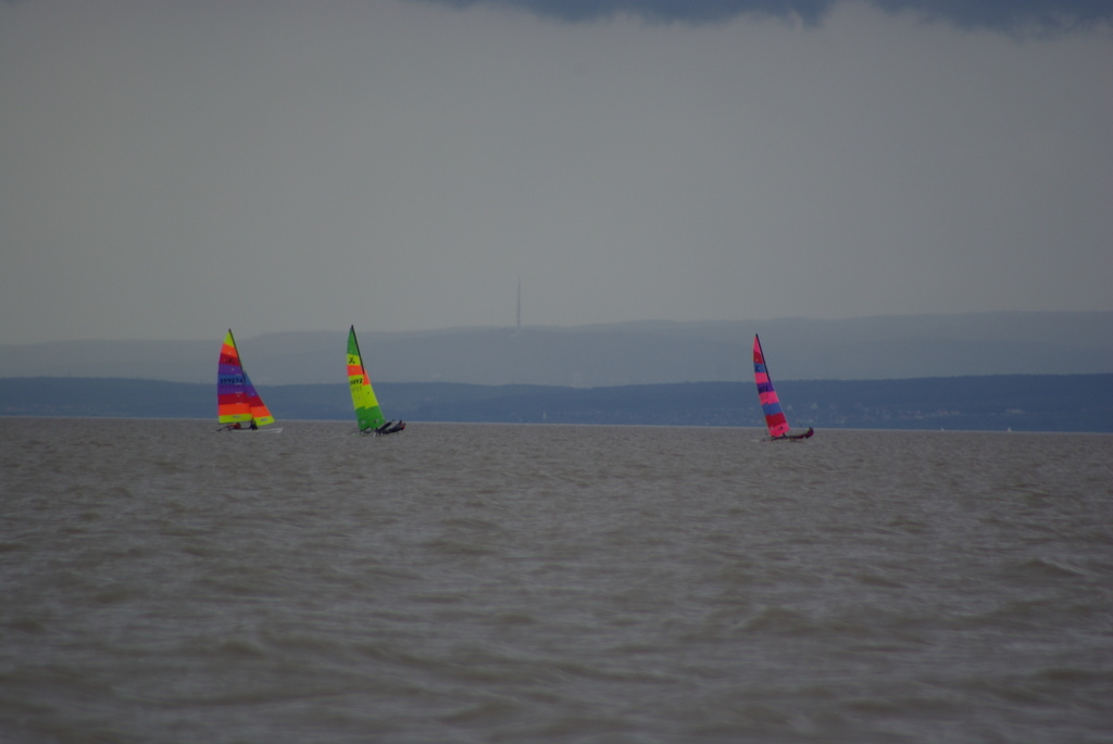 IMGP1131.JPG