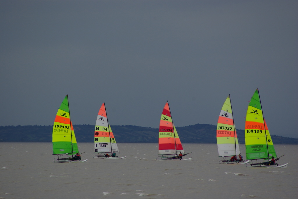 IMGP1353.JPG