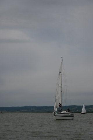 IMG_0981.jpg