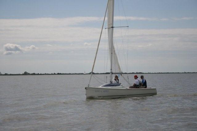 IMG_0990.jpg