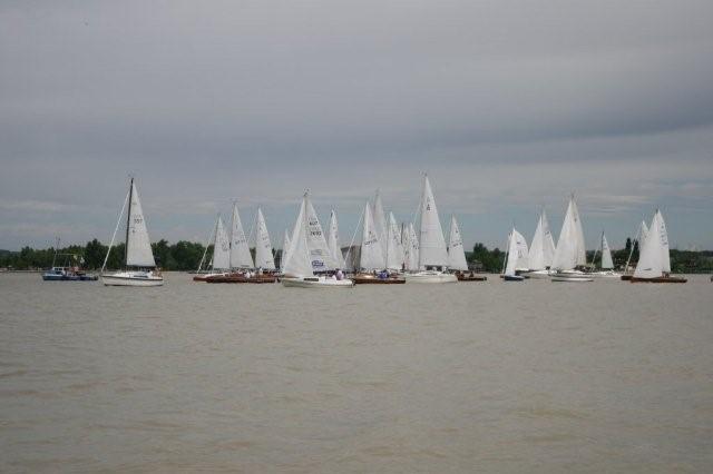 IMG_1000.jpg
