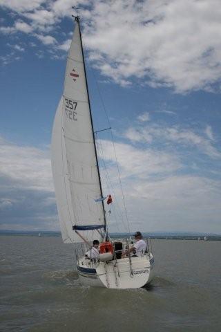 IMG_1038.jpg