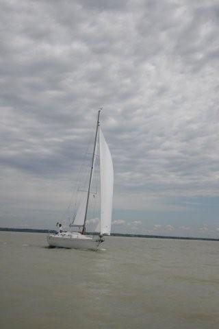 IMG_1040.jpg
