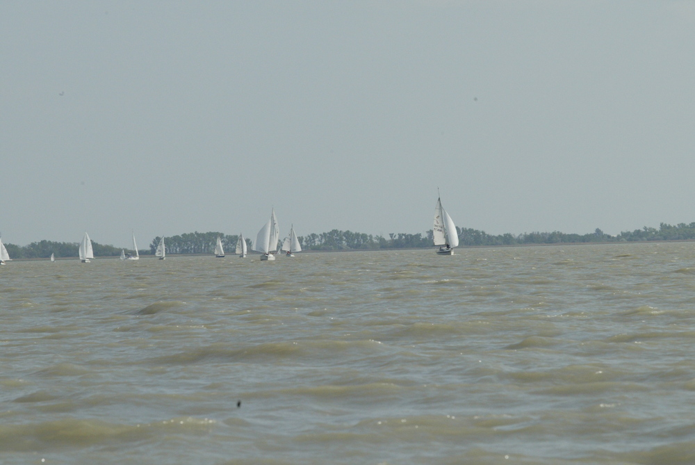 1b7f1890.jpg