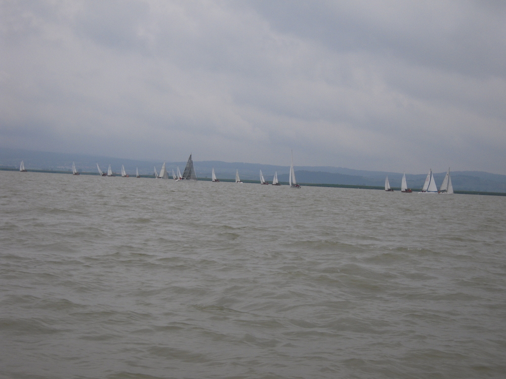 DSCN0781.JPG