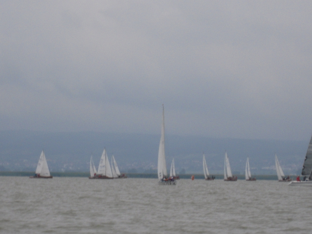 DSCN0782.JPG