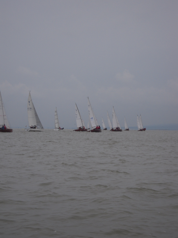 DSCN0786.JPG