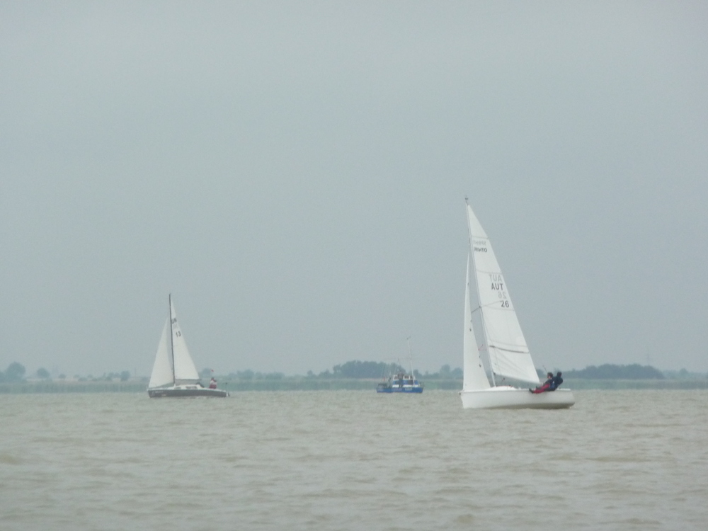 P1000657.JPG
