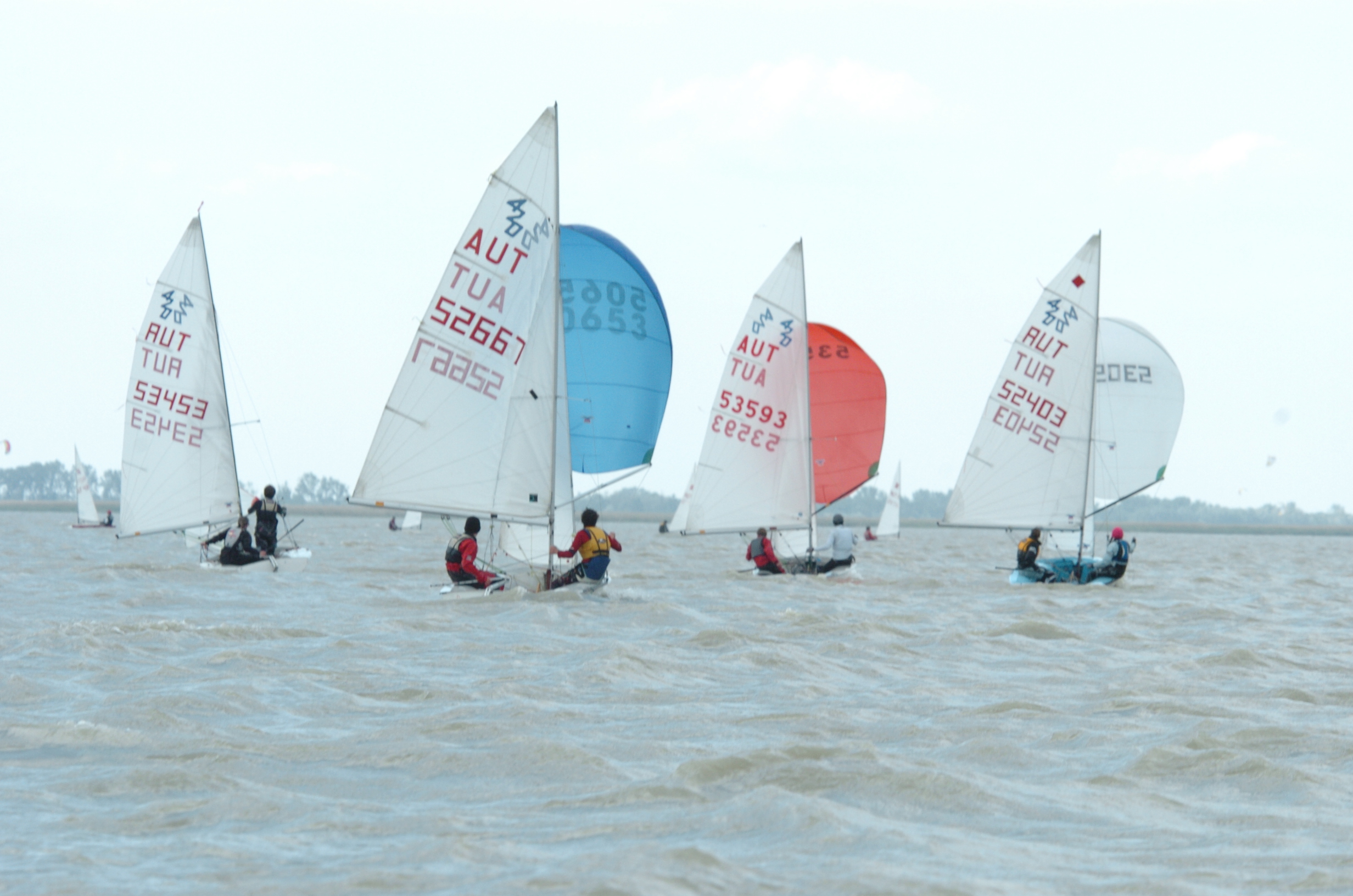 DSC_8301.JPG
